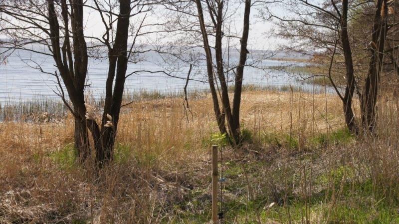 Impressionen an einem Harf